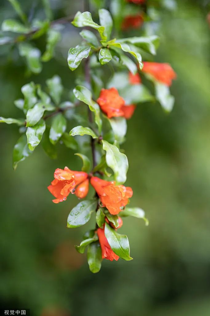 和记娱乐·H88(中国游)怡情博娱官网